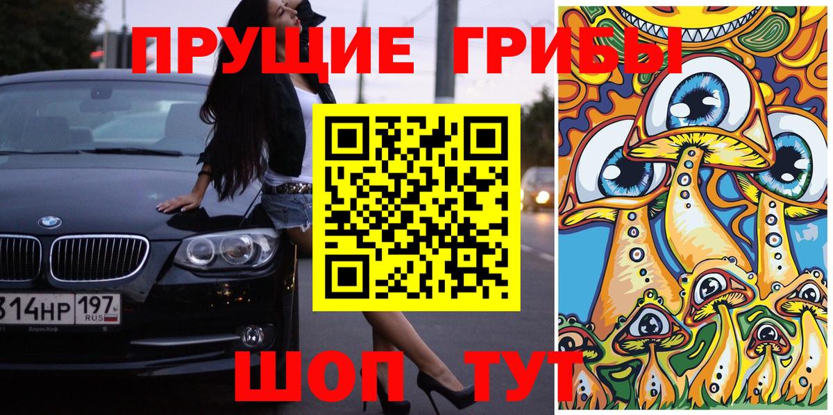 Псилоцибиновые грибы мицелий Луховицы